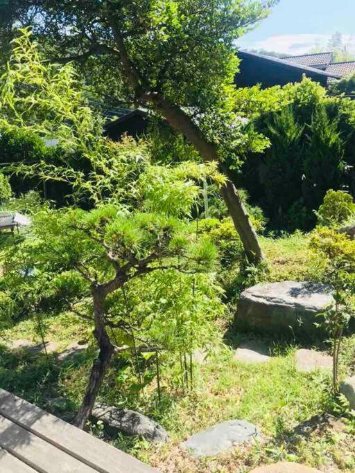 فيلا 葉山高台リノベーション離れ古民家 大型bbqグリル&ピザ窯付 -ペット可- هاياما المظهر الخارجي الصورة